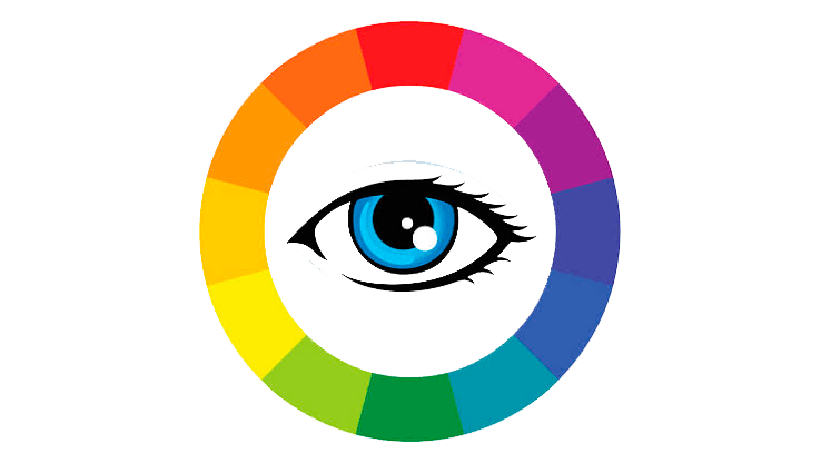 Vision